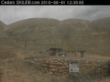 Webcam Cedars Forest