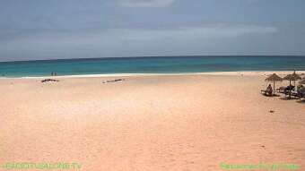 Webcam Sal
