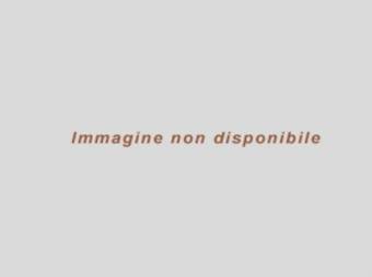 Webcam Malcesine - Lago di Garda