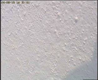 Webcam Santorin