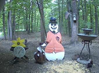 Webcam Gaylord, Michigan