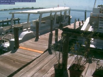 Webcam Utila