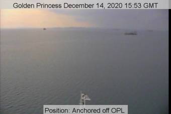 Webcam Golden Princess