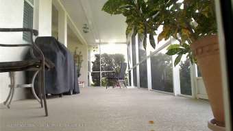 Webcam Rotonda West, Florida