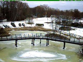 Webcam L�bben (Spreewald)