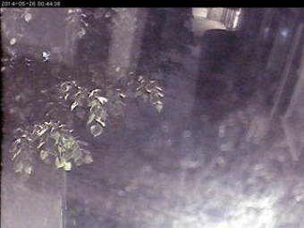 Webcam Fredrikstad