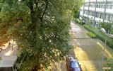 Webcam Ginsheim-Gustavsburg