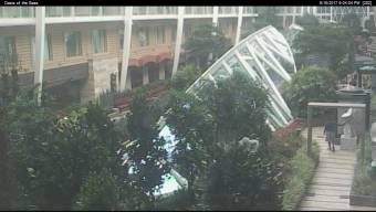 Webcam Oasis of the Seas