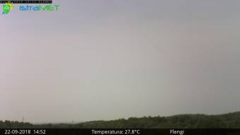 Webcam Flengi