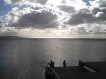 Webcam Niv�