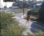 Webcam Newport East, Rhode Island