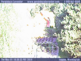 Webcam Sequim, Washington