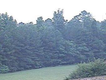 Webcam Midlothian, Virginia