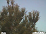 Webcam Clint, Texas