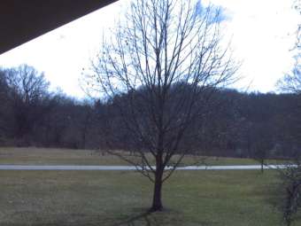 Webcam Lisbon, Ohio