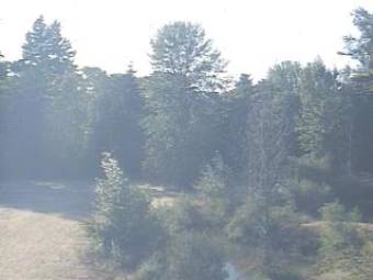 Webcam Eugene, Oregon