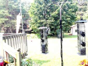 Webcam Central Lake, Michigan
