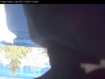 Webcam Friday Harbor, Washington