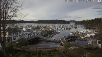 Webcam Roche Harbor, Washington