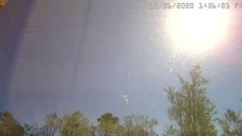 Webcam Lillian, Alabama