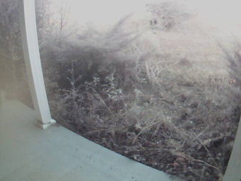Webcam Elba, Alabama