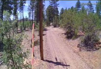Webcam Linden, Arizona