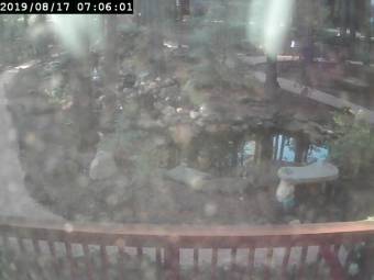 Webcam Pinetop, Arizona