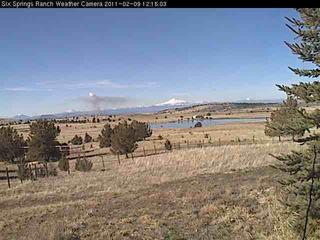Webcam Grizzly, Oregon