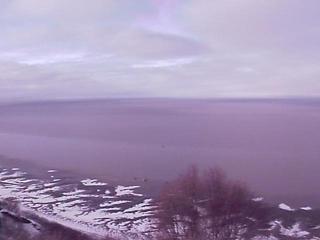 Webcam Clam Gulch, Alaska