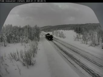 Webcam Liland