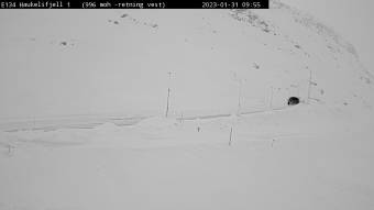 Webcam Grovast�l