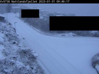 Webcam Fager�sen