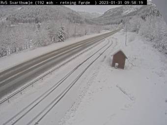 Webcam Svarthomle