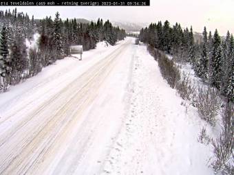 Webcam Tevldalen