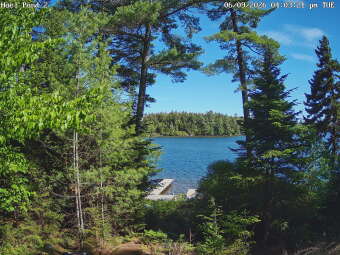 Webcam Hoel Pond, New York