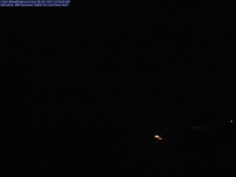 Webcam Shelly Park