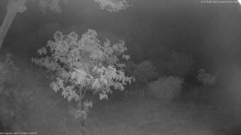 Webcam Kato Vlasia