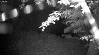Webcam Averill Park, New York