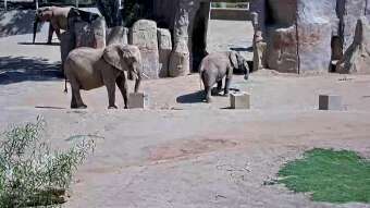 Webcam Escondido, California