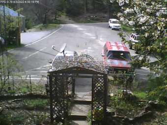 Webcam Alleghany, California