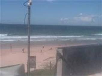 Webcam Buddina