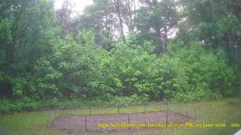 Webcam Tustin, Michigan