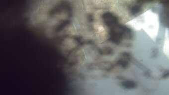 Webcam Buchanan, Virginia