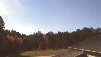 Webcam Bena, Minnesota