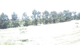 Webcam Pittsburg, Illinois