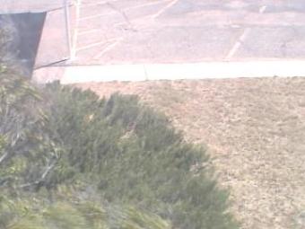 Webcam Animas, New Mexico