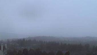 Webcam Issaquah, Washington