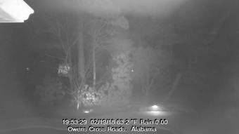 Webcam Owens Cross Roads, Alabama
