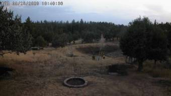 Webcam Pine, Arizona