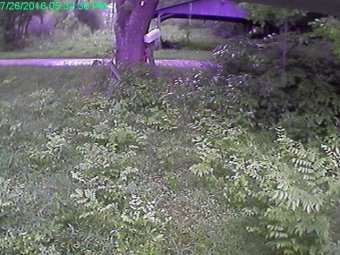 Webcam Reedy, West Virginia